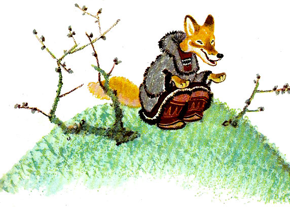 Animal Stories Of The North