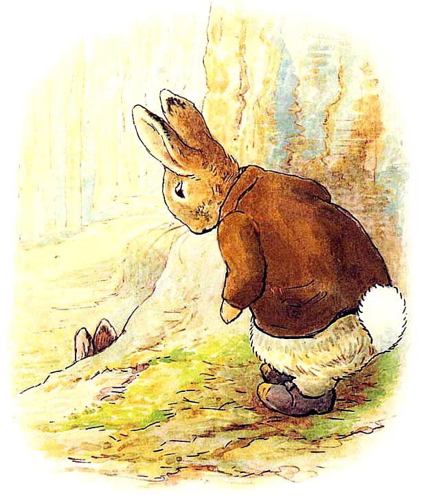 The Tale of Benjamin Bunny