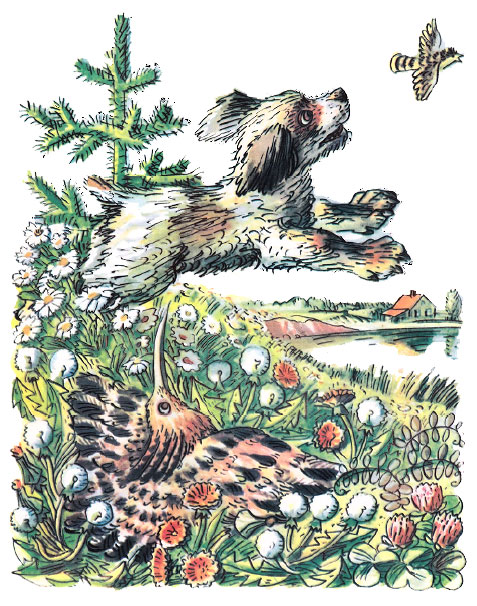 The First Hunt