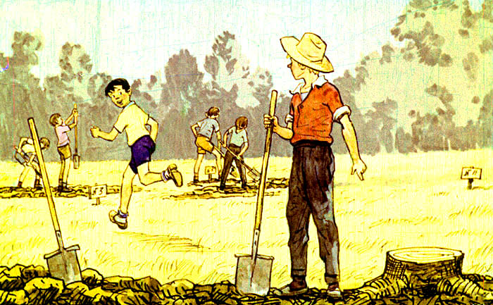 Gardeners