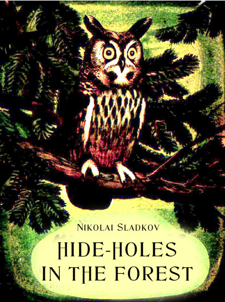 Hide-Holes in the Forest Sladkov N.