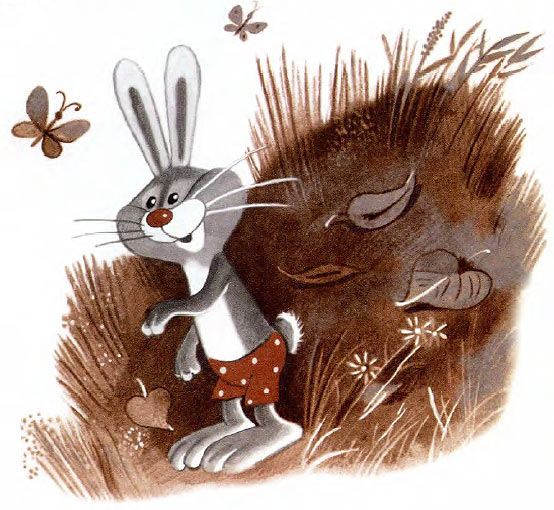 Little Grey Hare