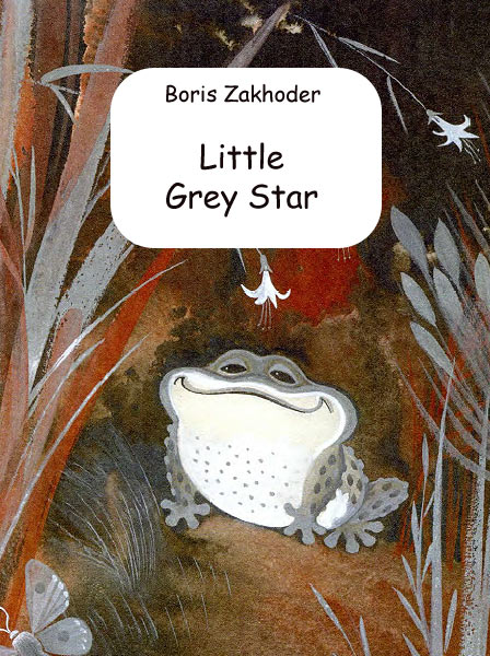 Little Grey Star Zakhoder B.