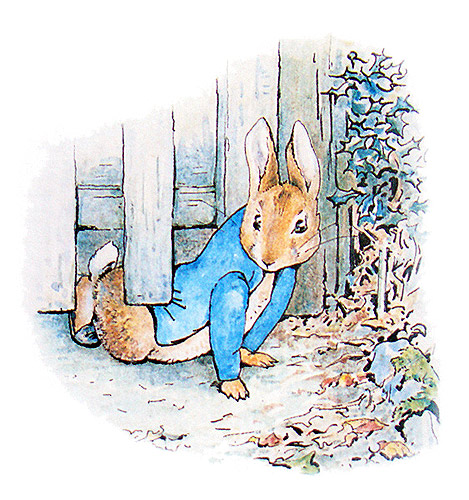 The Tale of Peter Rabbit