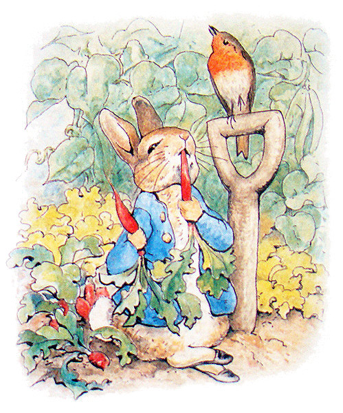 The Tale of Peter Rabbit