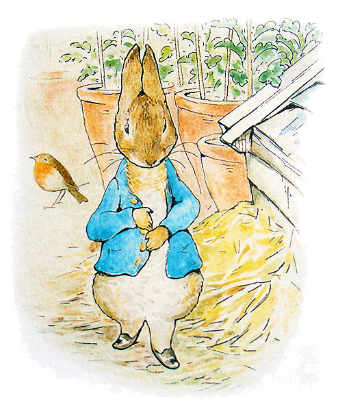 The Tale of Peter Rabbit