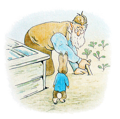 The Tale of Peter Rabbit