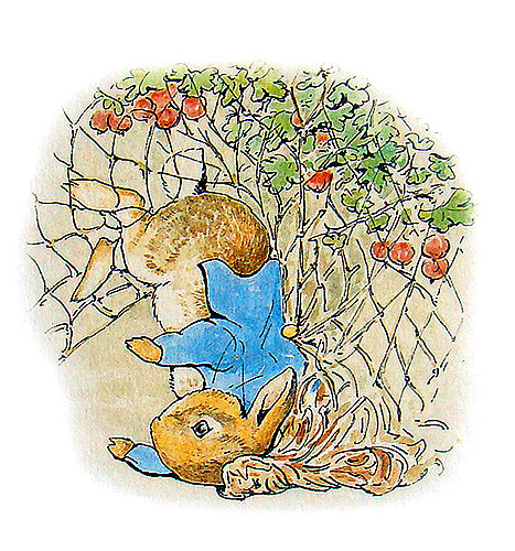 The Tale of Peter Rabbit