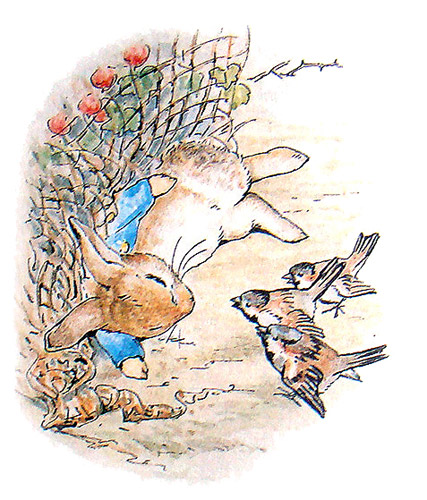 The Tale of Peter Rabbit