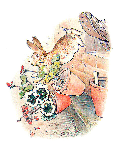 The Tale of Peter Rabbit