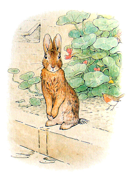 The Tale of Peter Rabbit