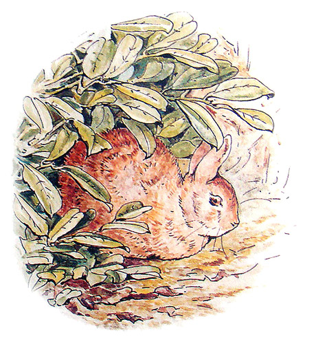 The Tale of Peter Rabbit