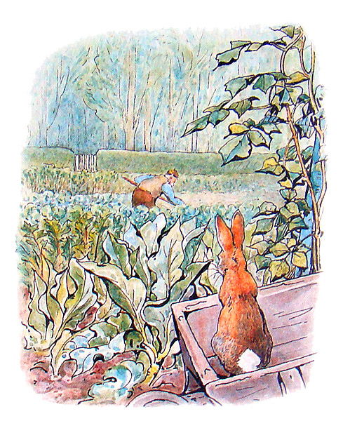 The Tale of Peter Rabbit