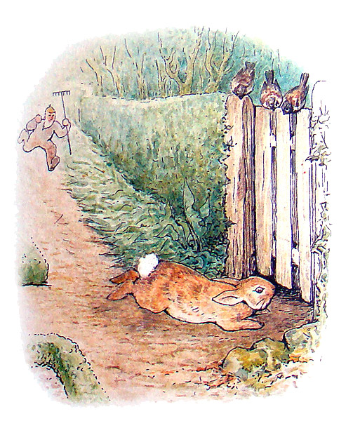 The Tale of Peter Rabbit