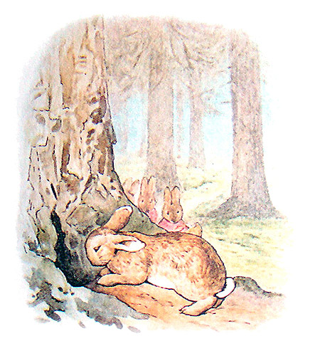 The Tale of Peter Rabbit