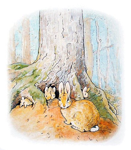 The Tale of Peter Rabbit