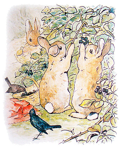 The Tale of Peter Rabbit