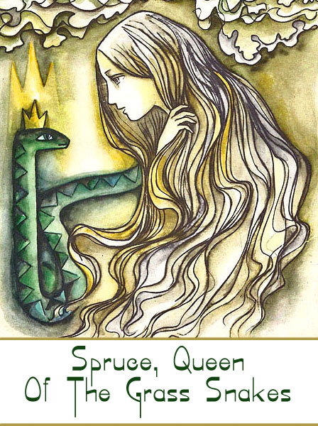 Spruce, Queen Of The Grass Snakes