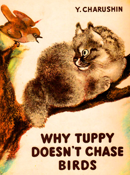 Why Tuppy Doesnt Chase Birds